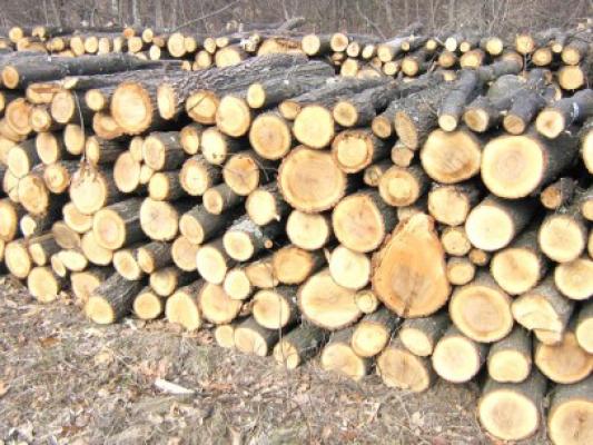 Un depozit de lemne de pe Baba Novac, reclamat că fură cu tonele la cântar